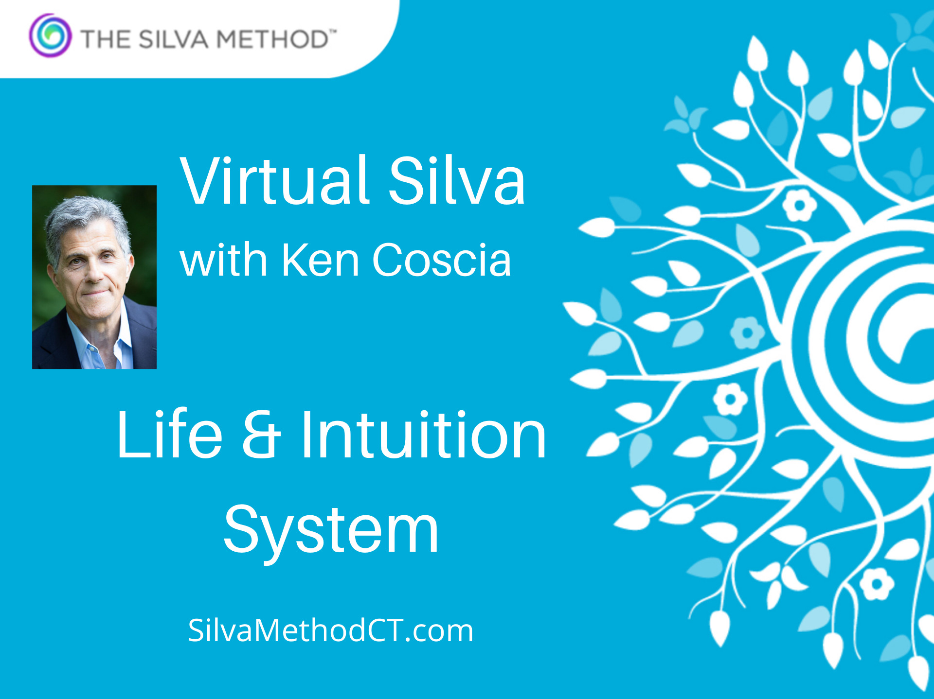 Virtual Silva KC
